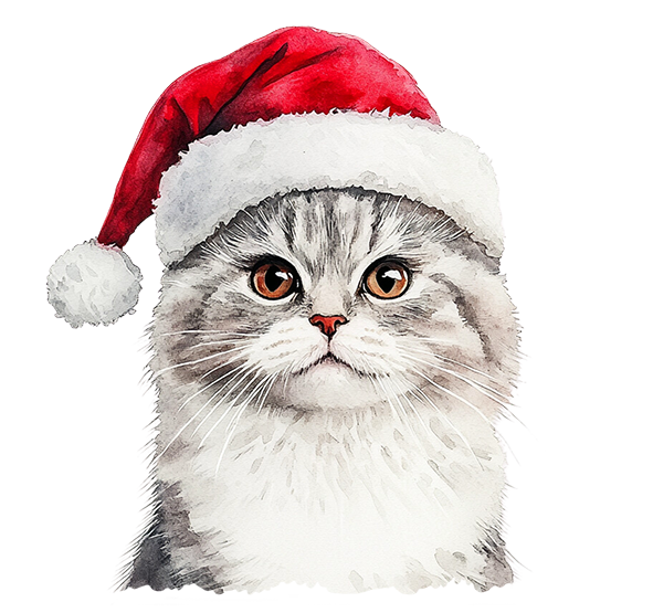 Cat Name Christmas Cushion