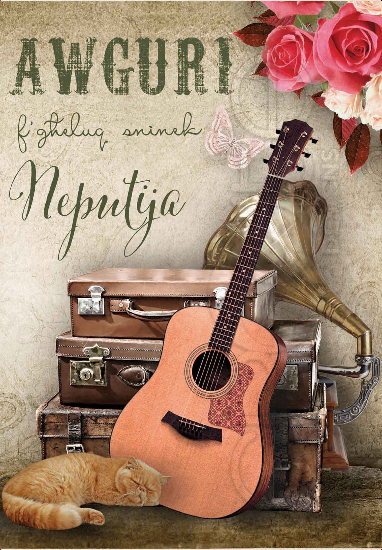 Birthday Card (from a set of 24) on the birthday of the niece (with guitar)