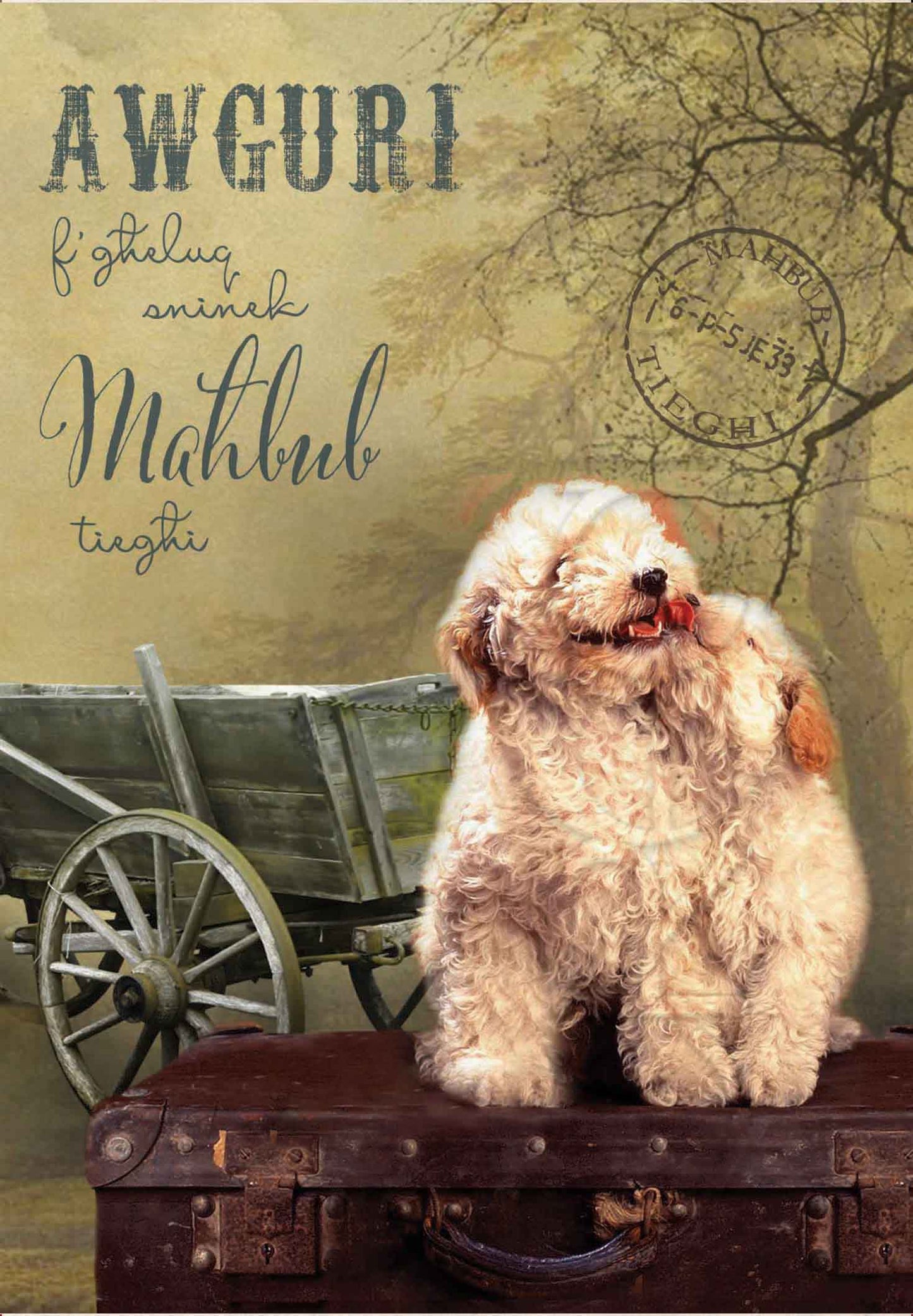 Birthday Card (from a set of 24) on the beloved birthday (male)