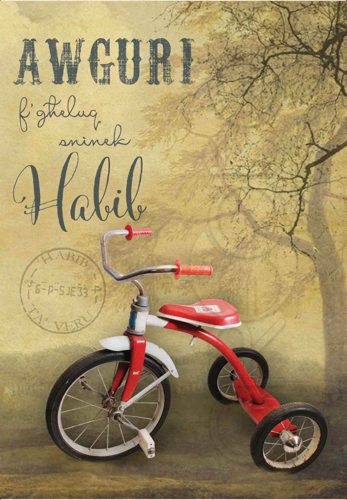 Birthday Card (from a set of 24) on a friend's birthday (male)