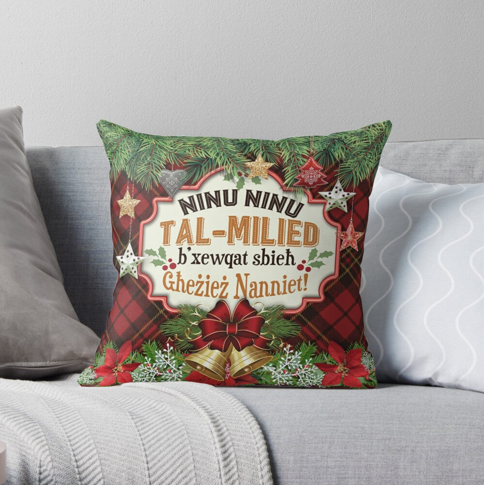 Christmas cushion (for Grandparents)