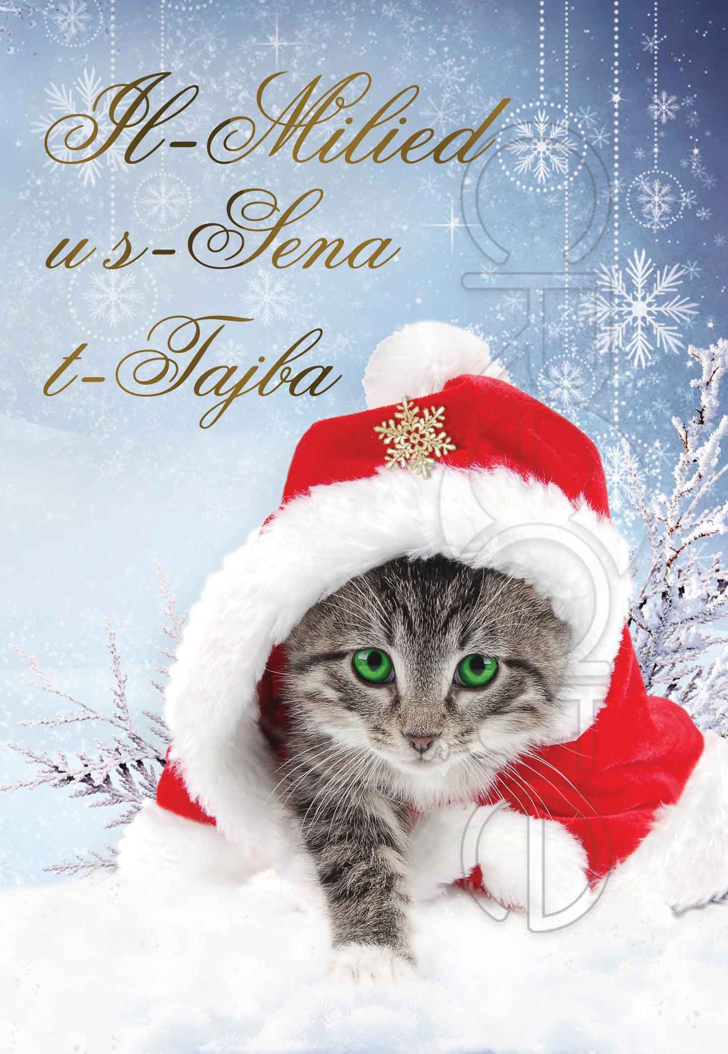 Kartolina tal-Milied (b'qattus liebes kappell ta' Santa Klaws)