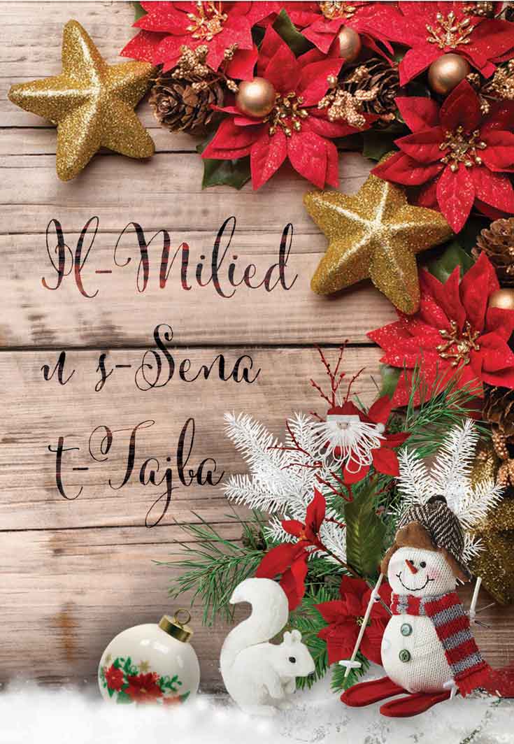 Christmas card (with flower and stars)