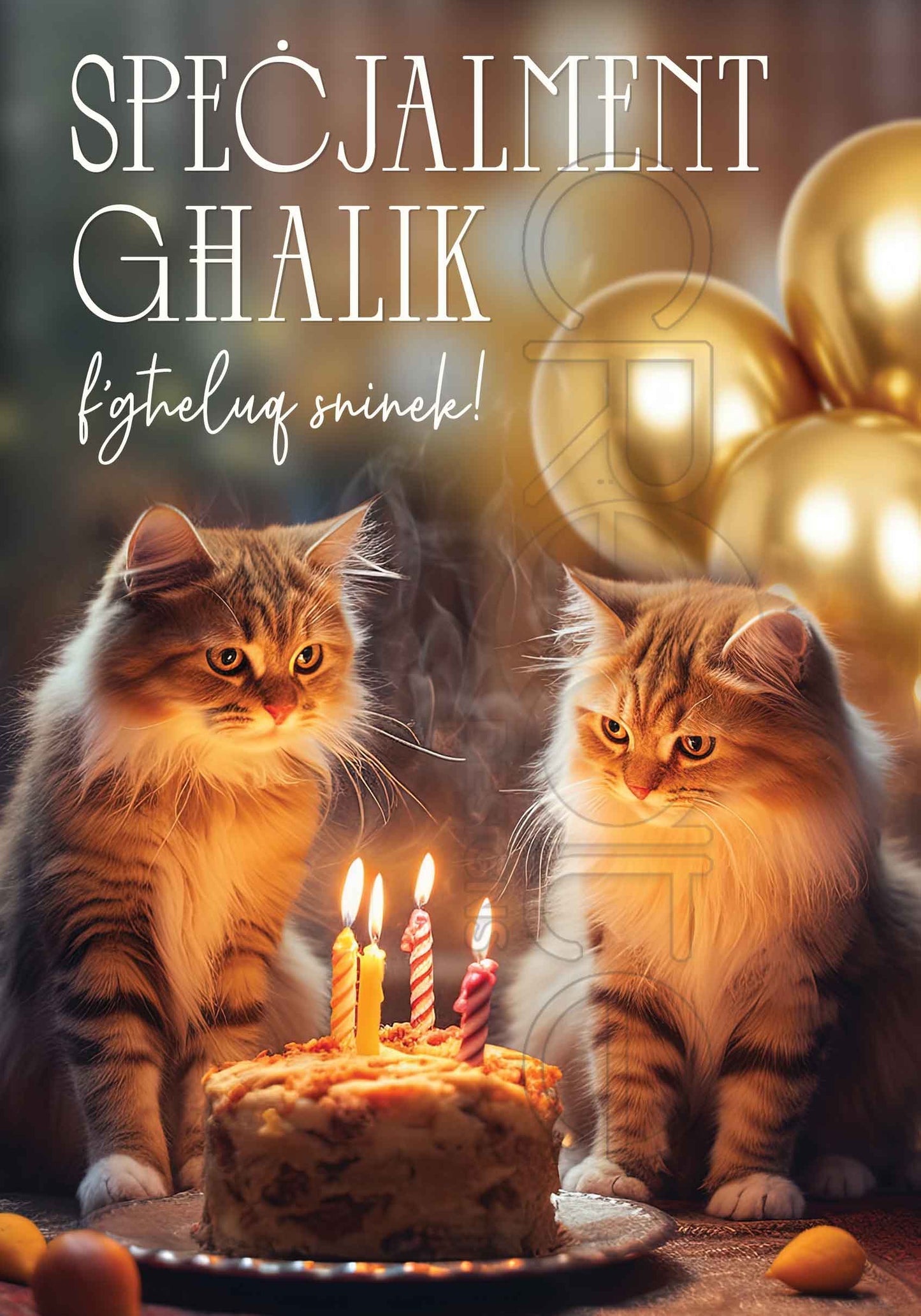 Birthday Card Open (Large)