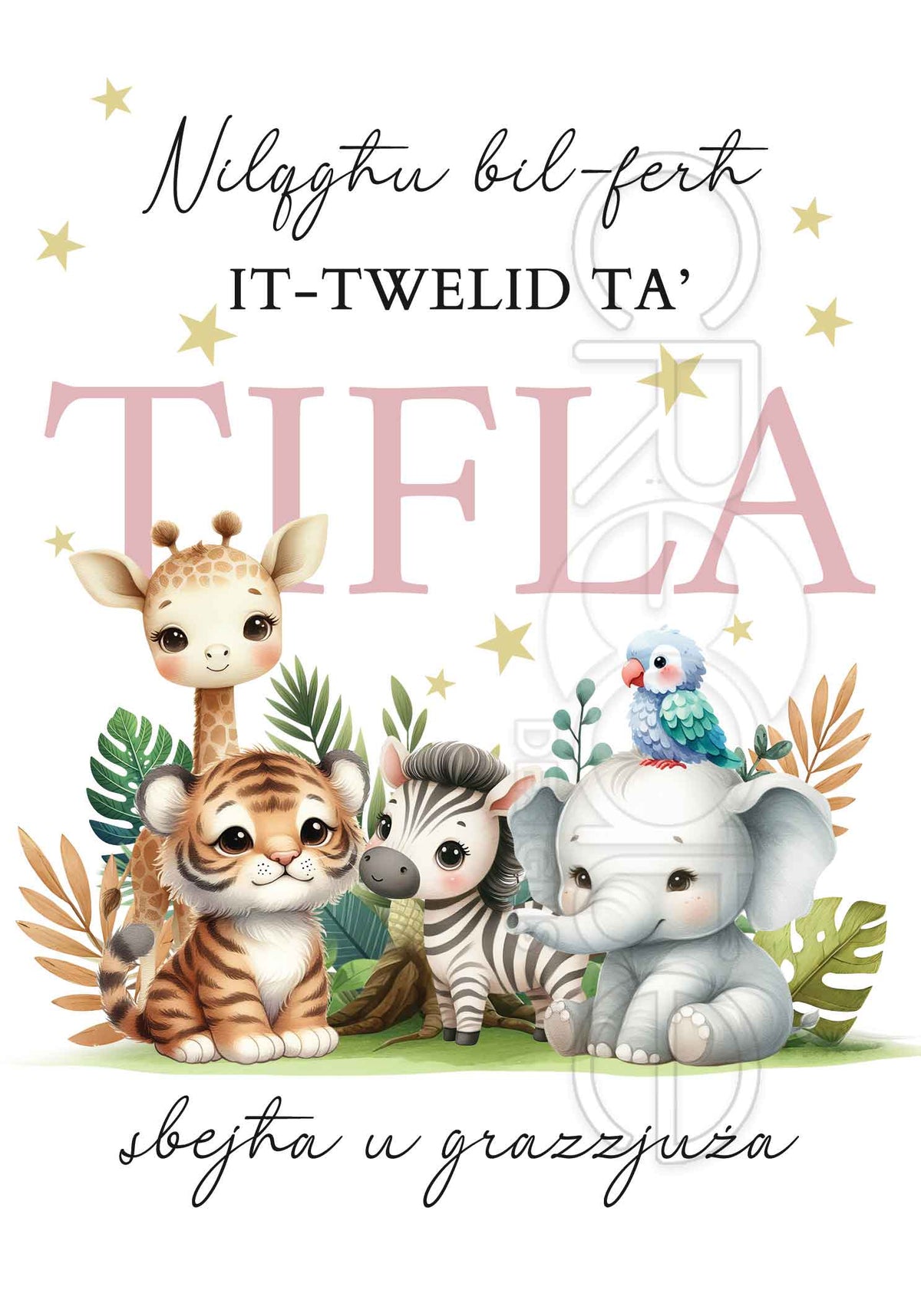 New Born Card (Girl)