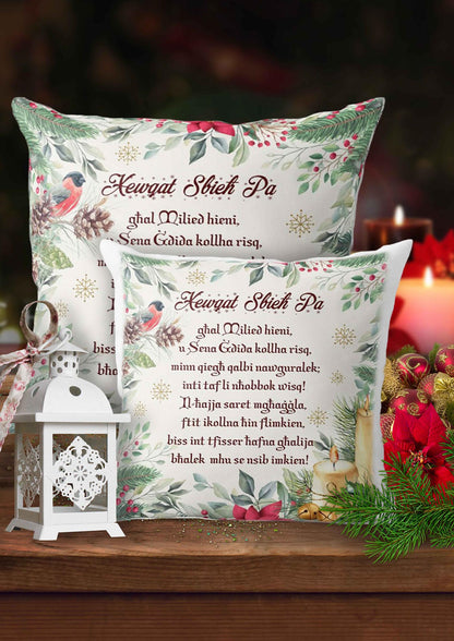 Christmas cushion (for Father)