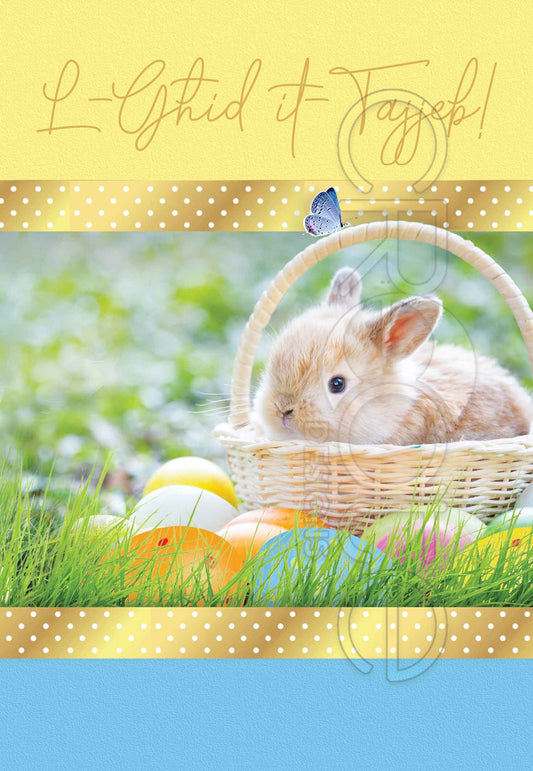 Easter Cards (Easter Bunny)