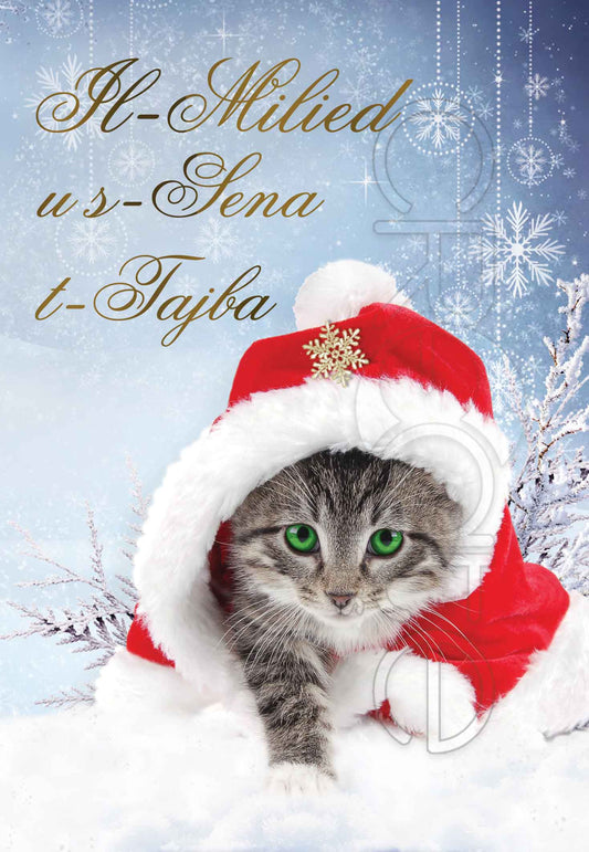 Christmas card (Cat with Santa's Hat)