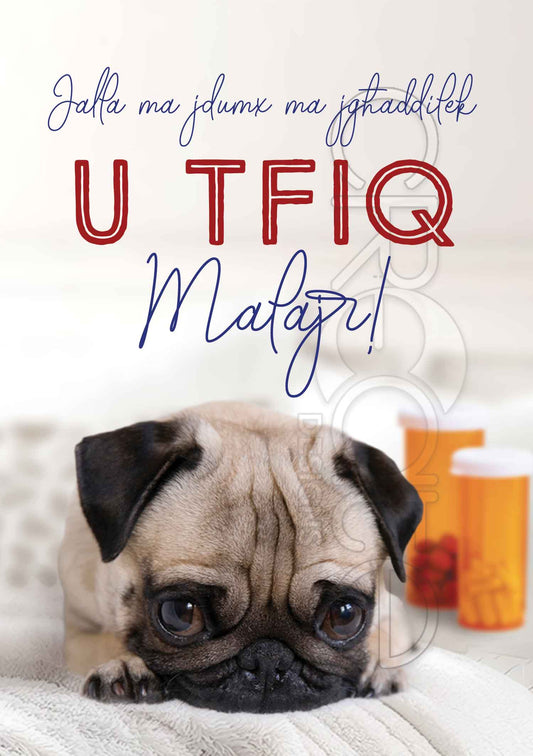 Get well soon card (dog and pills)
