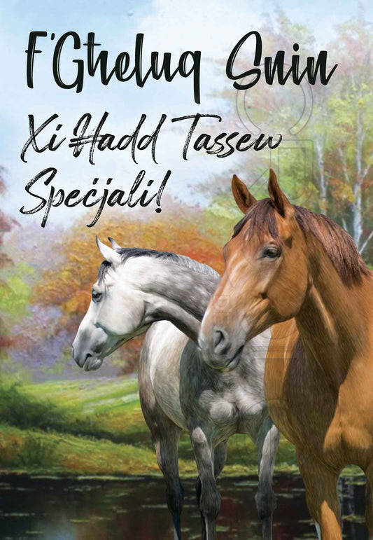 Birthday Card male open (horse lover)